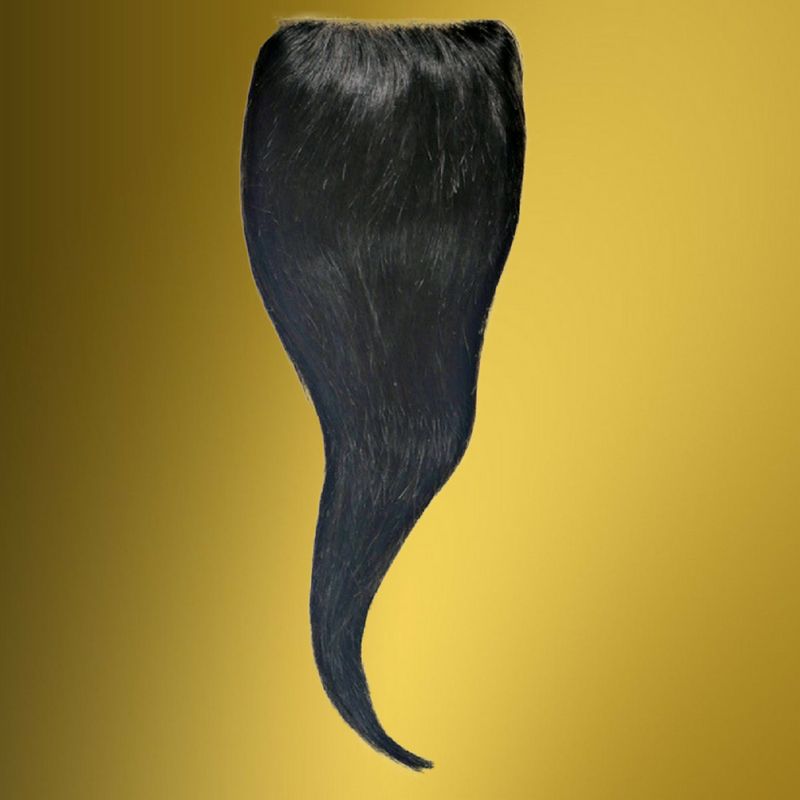 Malaysian Silky Straight Closure