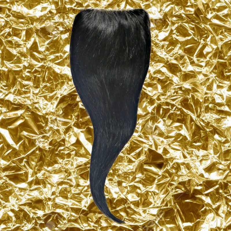 Malaysian Silky Straight Closure