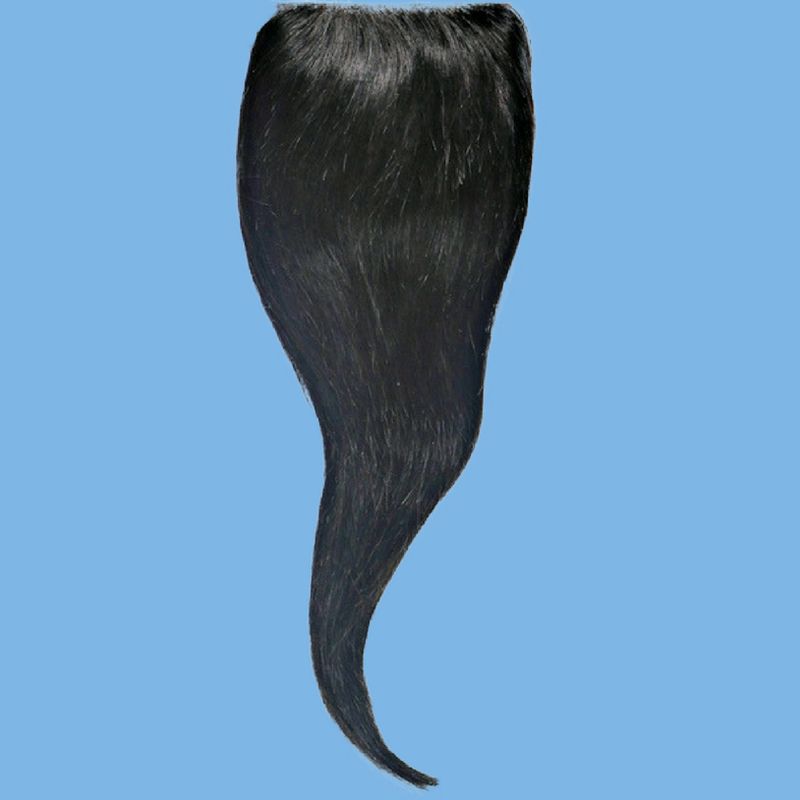 Malaysian Silky Straight Closure